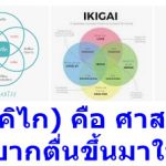 IKIGAI (อิคิไก) คือ ศาสตร์ที่จะช่วยให้คุณอยากตื่นขึ้นมาในทุกๆวัน