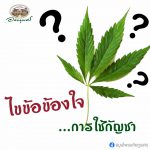 ไขข้อข้องใจ การใช้กัญชา