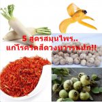 5 สูตรสมุนไพร..แก้โรคริดสีดวงทวารหนัก!!