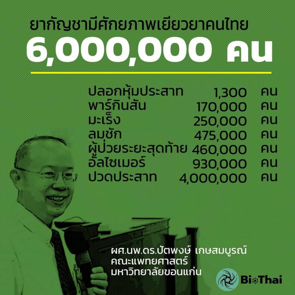 มหาวิทยาลัยรังสิตผลิตน้ำมันกัญชาบริสุทธิ์จากสารสกัดในสัดส่วนตามสูตรแม่นยำโดยเครื่อง Super Fluid Extraction