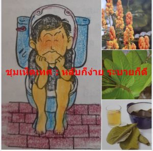 ชุมเห็ดเทศ : หลับก็ง่าย ระบายก็ดี