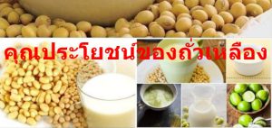 น้ำเต้าหู้ผสมมะนาวเขาว่าเป็นยาอายุวัฒนะ