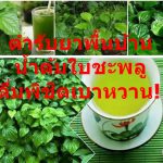 ตำรับยาพื้นบ้าน น้ำต้มใบชะพลู ดื่มพิชิตเบาหวาน!