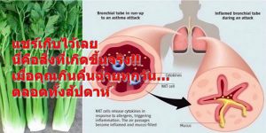 แชร์เก็บไว้เลย นี่คือสิ่งที่เกิดขึ้นจริง!! เมื่อคุณกินคื่นฉ่ายทุกวัน…ตลอดทั้งสัปดาห์