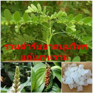 รวมตำรับยาสมุนไพรแก้เบาหวาน