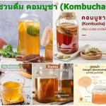 ชวนดื่ม คอมบูชา (Kombucha)