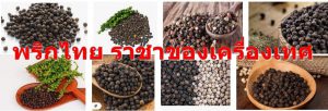 พริกไทย ราชาของเครื่องเทศ