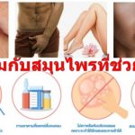 โรคเริมกับสมุนไพรที่ช่วยรักษา