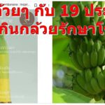 สูตรกล้วยๆ กับ 19 ประโยชน์ในการกินกล้วยรักษาโรค