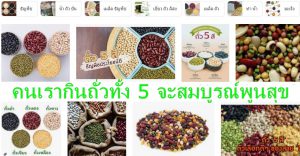 คนเรากินถั่วทั้ง 5 จะสมบูรณ์พูนสุข