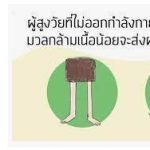 เรื่องน่ารู้ เกี่ยวกับ Sarcopenia