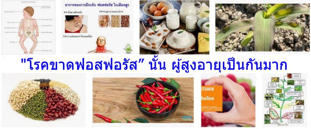 "โรคขาดฟอสฟอรัส” นั้น ผู้สูงอายุเป็นกันมาก