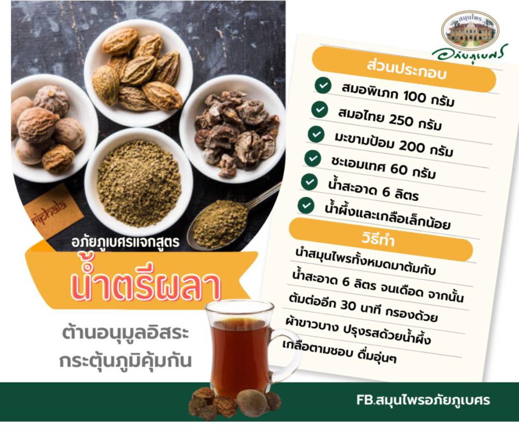 “น้ำตรีผลา” ต้านอนุมูลอิสระ กระตุ้นภูมิคุ้มกัน