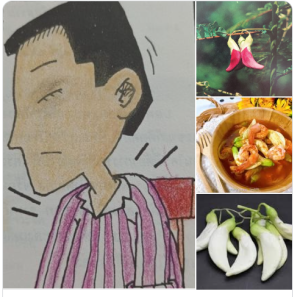 ดอกแค : กินตามกาล